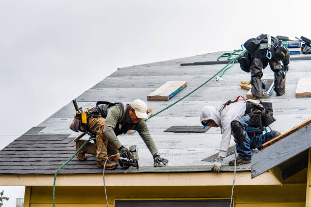 Professional Roofing technician working in Lost Nation, IA
